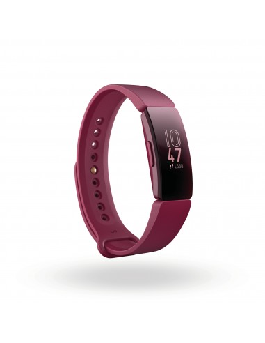 SPORTWATCH: vendita online Fitbit Orologio Inspire Colori Assortiti in offerta