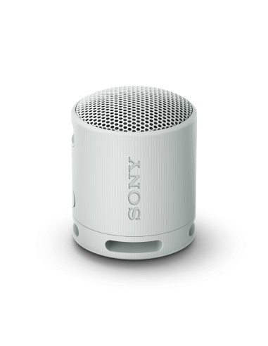 SONY SRSXB100H SPEAKER BLUETOOTH GRIGIO CHIARO IP67 16 ORE AUTONOMIA